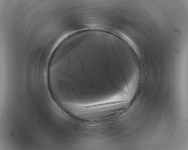 X0000113881291200910221348