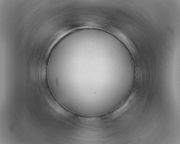 X0000113881292200910221348