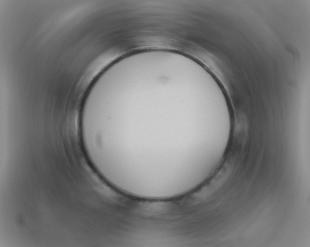 X0000113881293200910221348