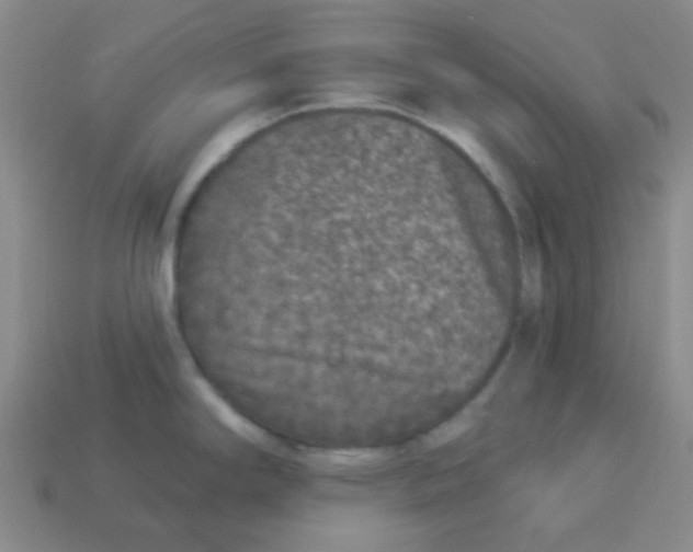X0000113881294200910221348