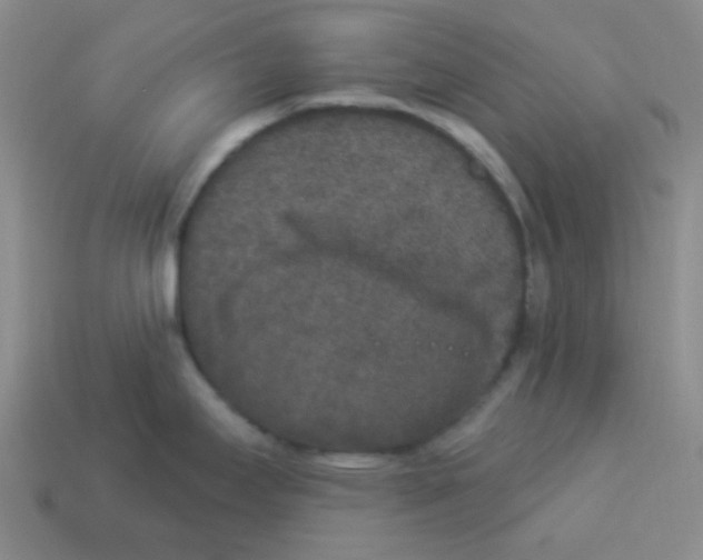 X0000113881295200910221348