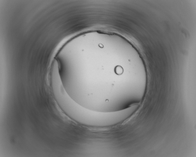 X0000113881296200910221348
