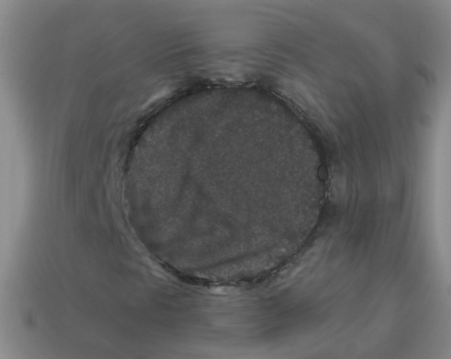 X0000113881297200910221347