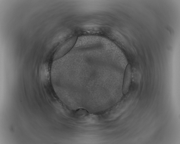 X0000113881298200910221347
