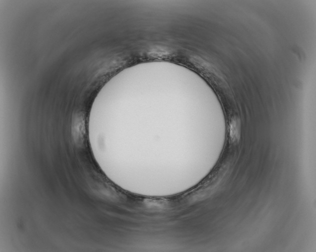 X0000113881299200910221347