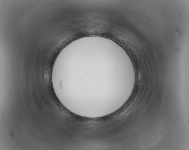 X0000113881300200910221347
