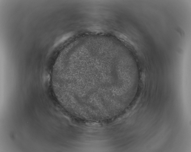 X0000113881302200910221347