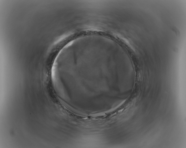 X0000113881303200910221347