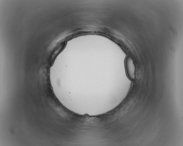 X0000113881304200910221347