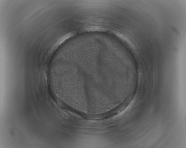 X0000113881305200910221347