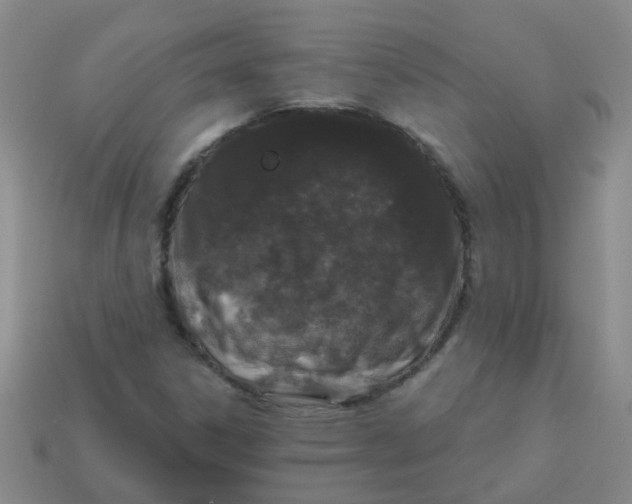 X0000113881306200910221347