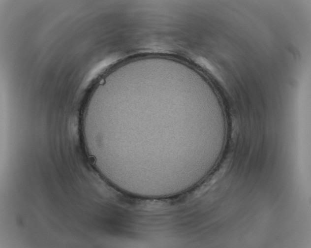 X0000113881307200910221347