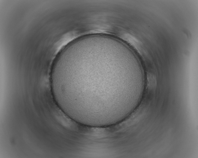 X0000113881308200910221347
