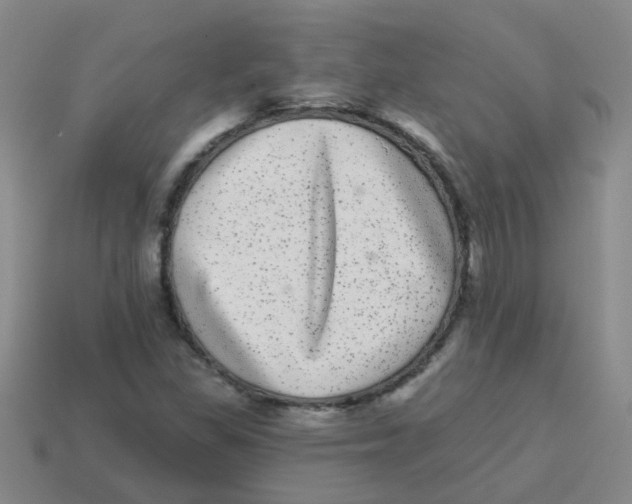 X0000113881309200910221347