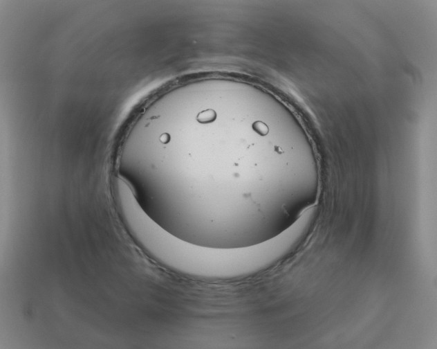 X0000113881312200910221347