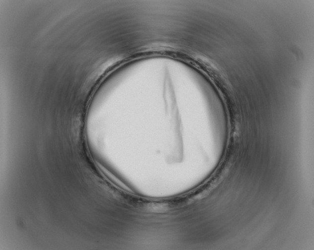X0000113881313200910221347