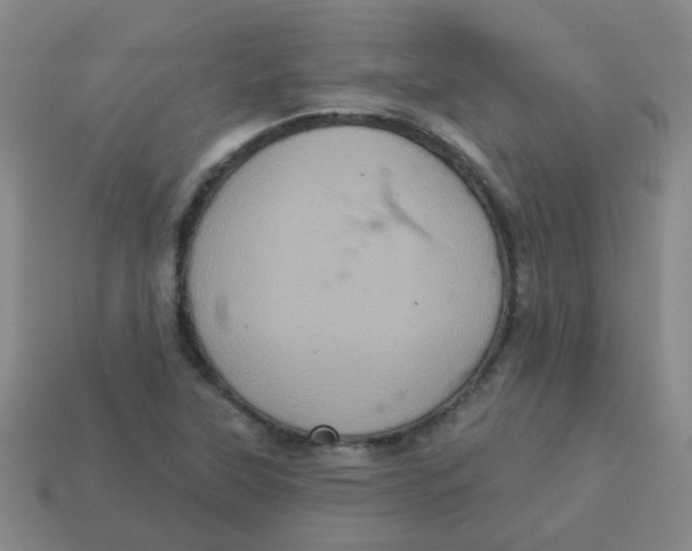 X0000113881315200910221347