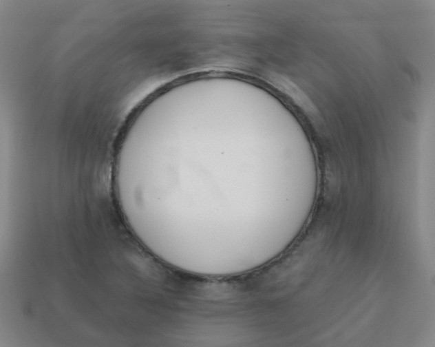X0000113881316200910221347