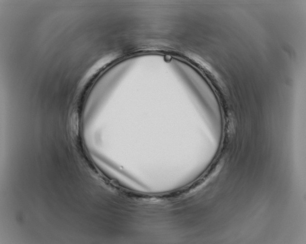X0000113881317200910221347