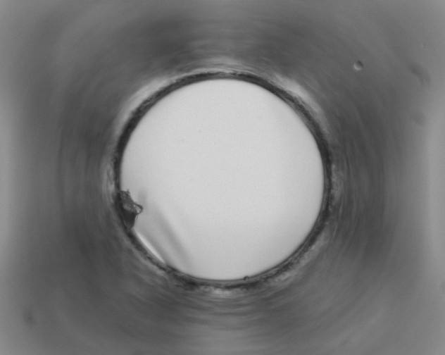 X0000113881318200910221347