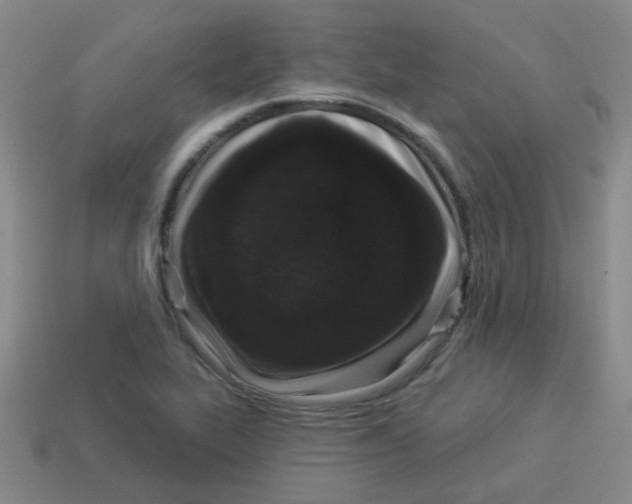 X0000113881319200910221347