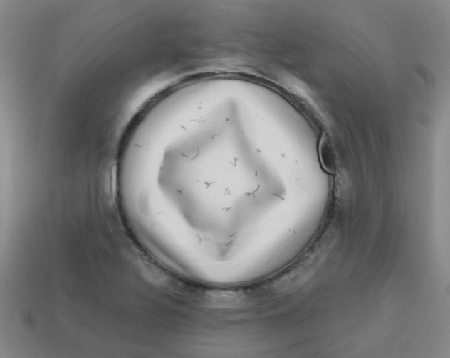 X0000113881320200910221347