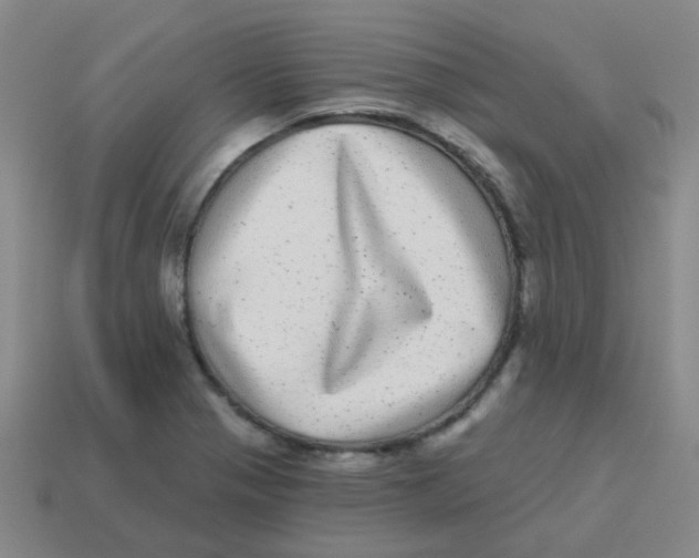 X0000113881321200910221347