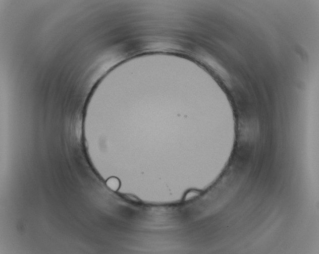 X0000113881322200910221347