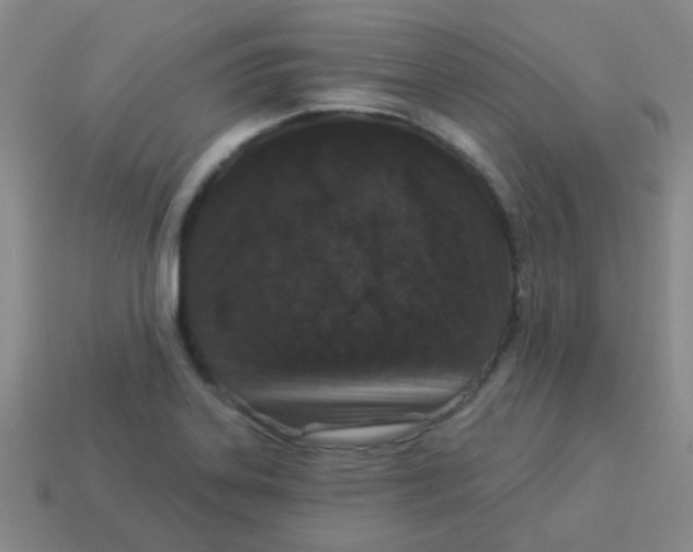 X0000113881323200910221348