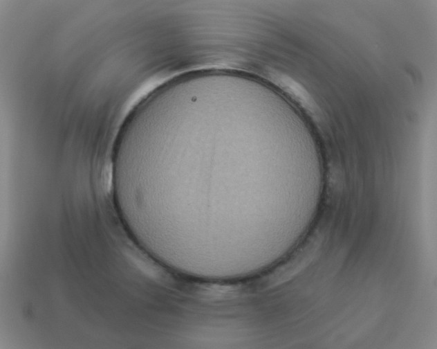 X0000113881324200910221348