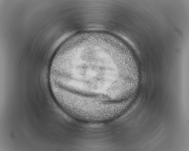 X0000113881325200910221348