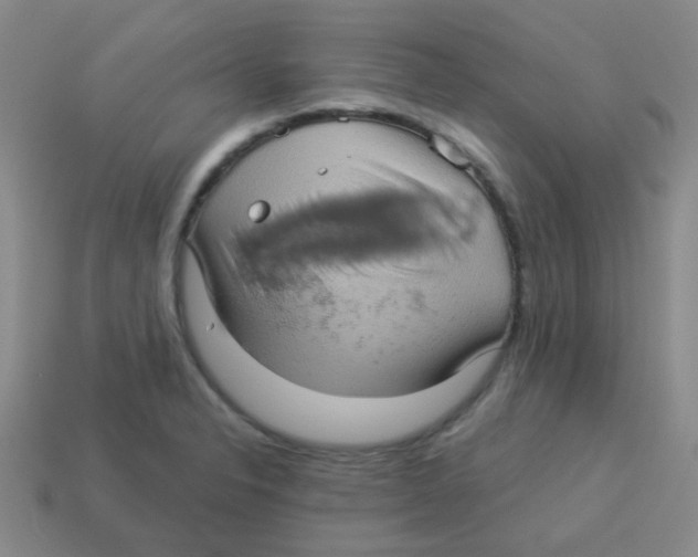X0000113881326200910221348