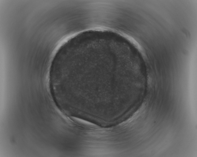 X0000113881327200910221348