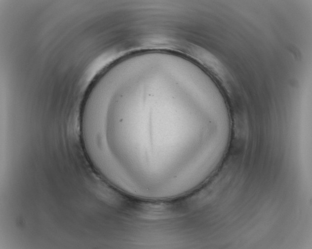 X0000113881328200910221348