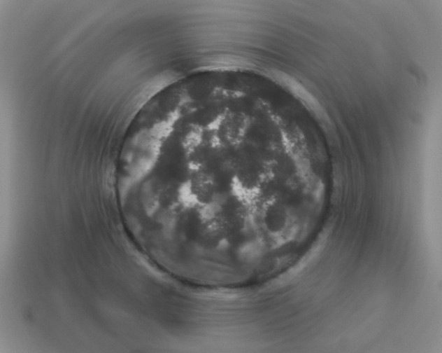 X0000113881329200910221348