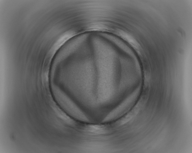 X0000113881330200910221348