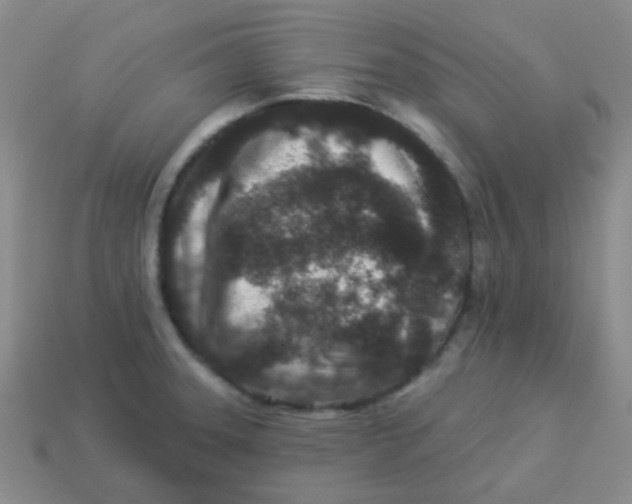 X0000113881331200910221348