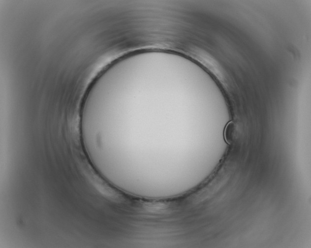 X0000113881332200910221348