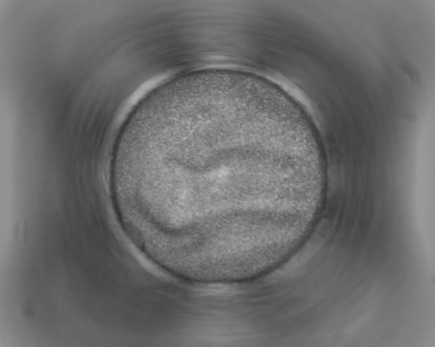 X0000113881333200910221348