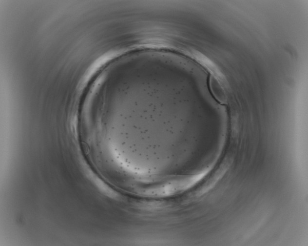 X0000113881334200910221348