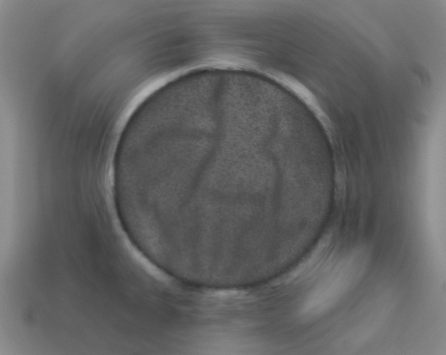 X0000113881335200910221348