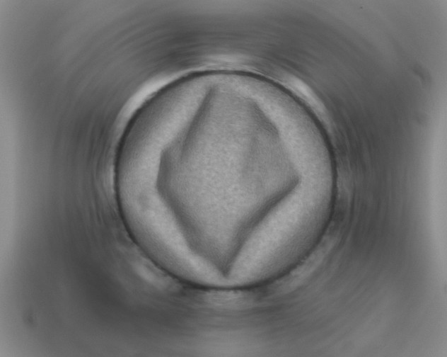 X0000113881336200910221348