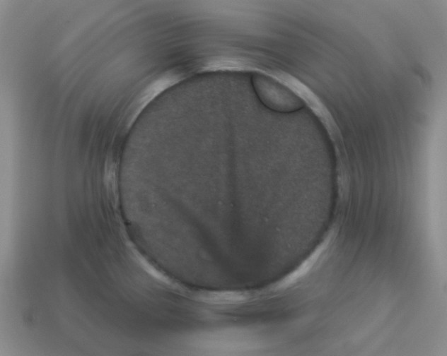 X0000113881337200910221348