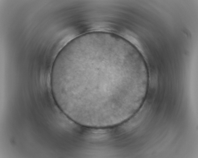 X0000113881338200910221348