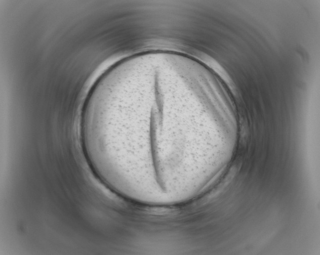 X0000113881339200910221348