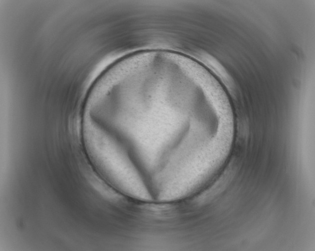 X0000113881340200910221348