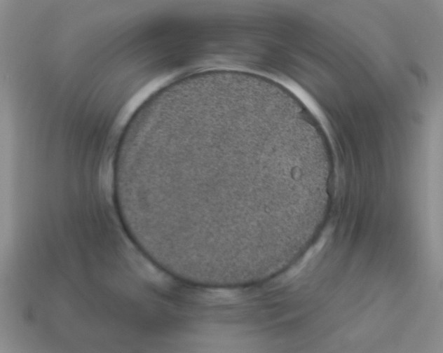 X0000113881341200910221348