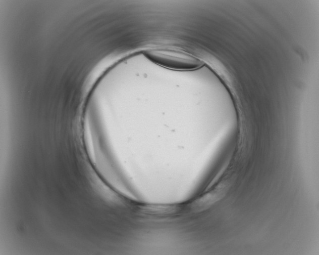 X0000113881344200910221348
