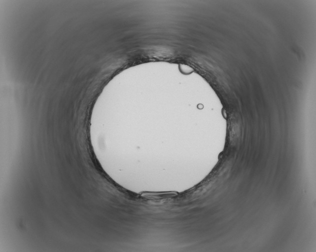 X0000113881345200910221347