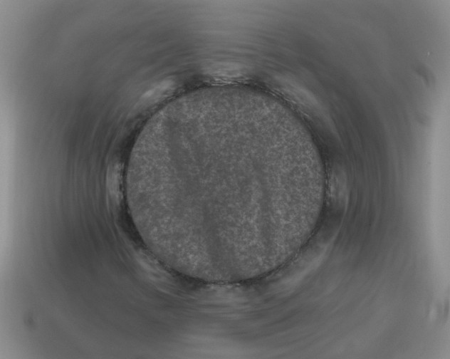 X0000113881346200910221347
